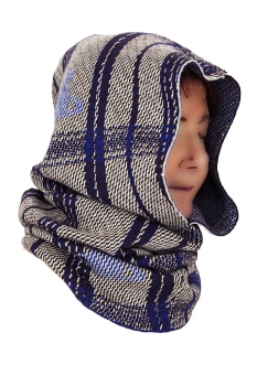 Vivienne Westwood Blue & Brown Bi Tartan Hoodie